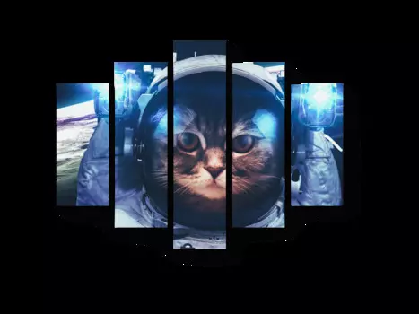 Модульная картина Picsis