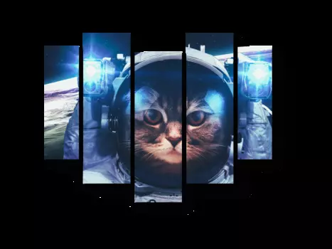 Модульная картина Picsis