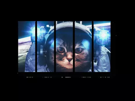 Модульная картина Picsis