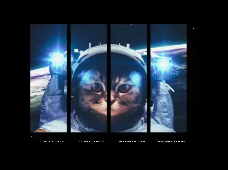 Модульная картина Picsis