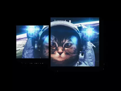 Модульная картина Picsis