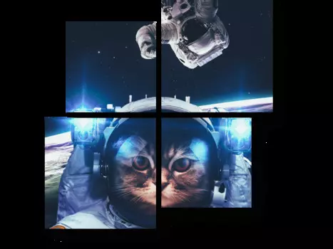 Модульная картина Picsis