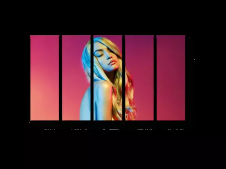 Модульная картина Picsis