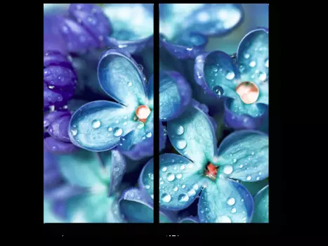 Модульная картина Picsis