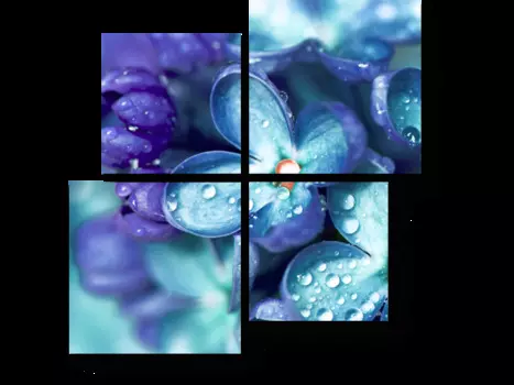 Модульная картина Picsis