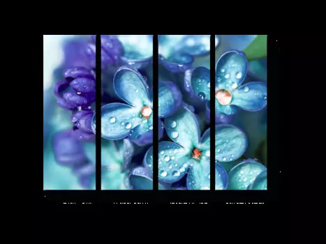 Модульная картина Picsis