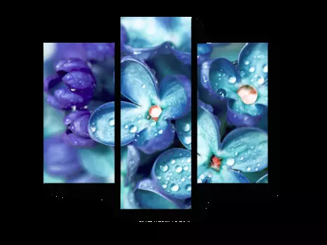 Модульная картина Picsis