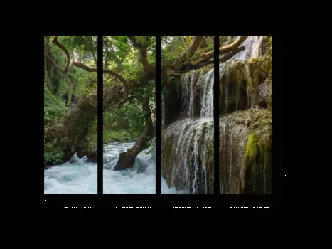 Модульная картина Picsis