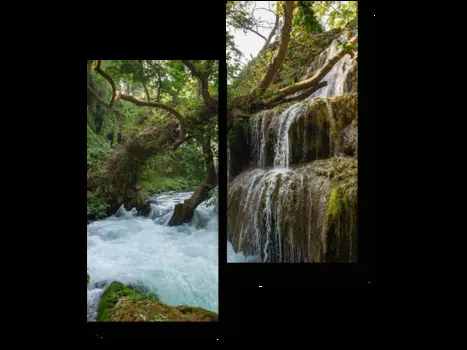 Модульная картина Picsis