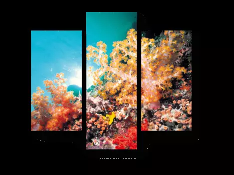 Модульная картина Picsis