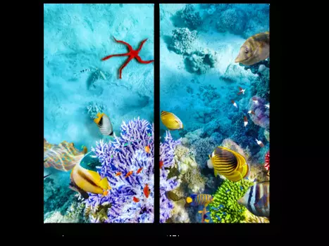 Модульная картина Picsis