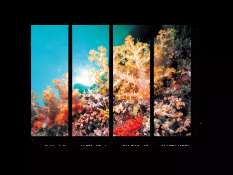 Модульная картина Picsis