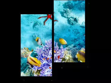 Модульная картина Picsis