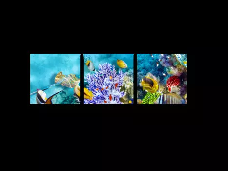 Модульная картина Picsis