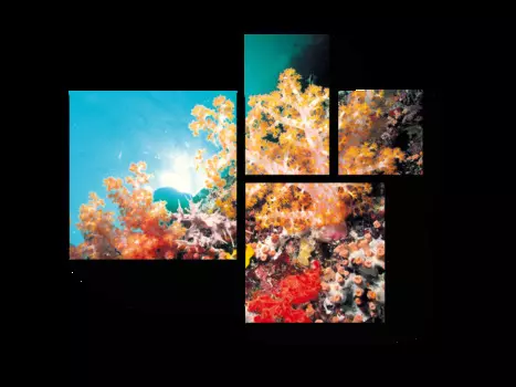 Модульная картина Picsis