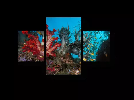 Модульная картина Picsis