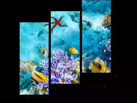 Модульная картина Picsis