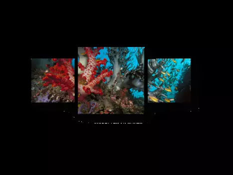 Модульная картина Picsis