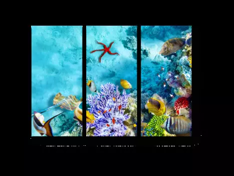 Модульная картина Picsis