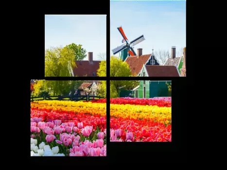 Модульная картина Picsis