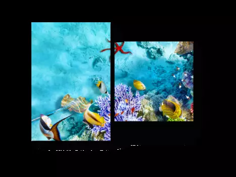 Модульная картина Picsis