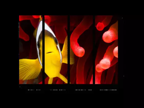 Модульная картина Picsis