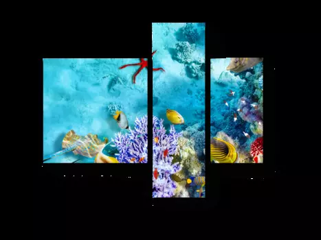 Модульная картина Picsis