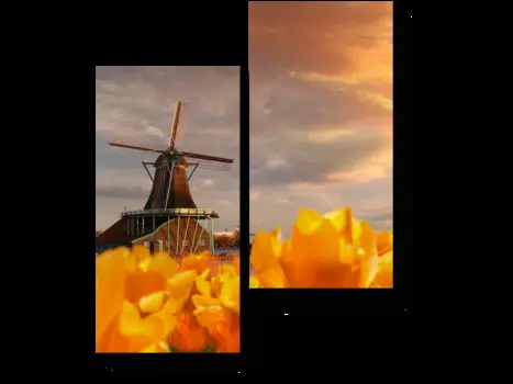 Модульная картина Picsis