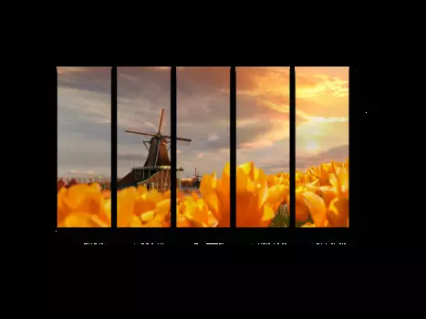 Модульная картина Picsis