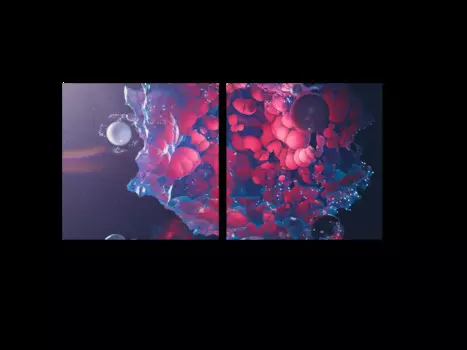 Модульная картина Picsis