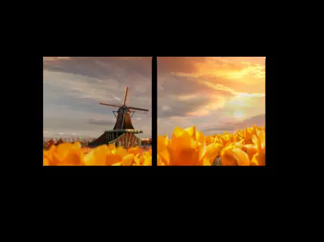 Модульная картина Picsis