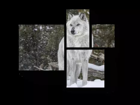 Модульная картина Picsis