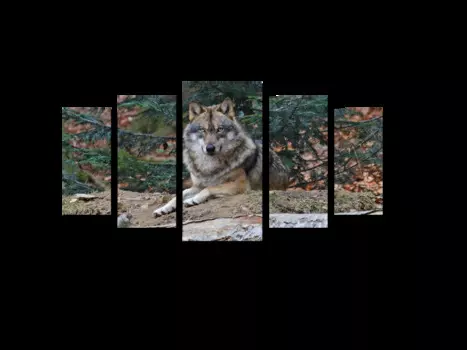 Модульная картина Picsis