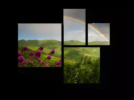 Модульная картина Picsis