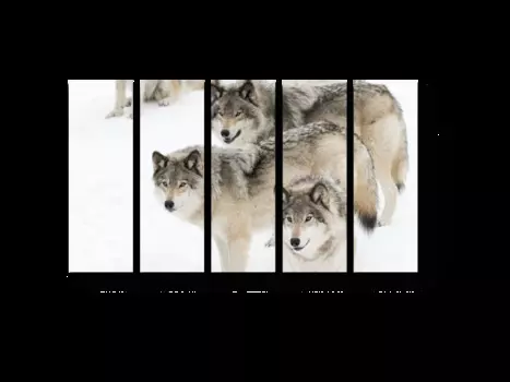 Модульная картина Picsis