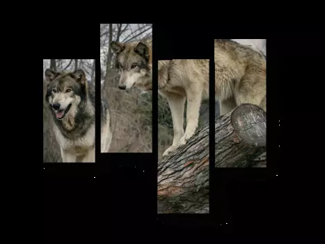 Модульная картина Picsis