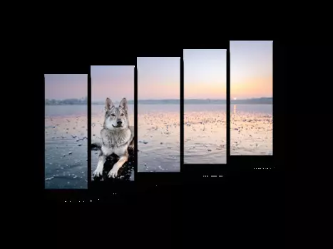 Модульная картина Picsis