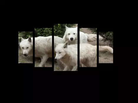 Модульная картина Picsis