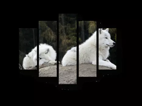 Модульная картина Picsis