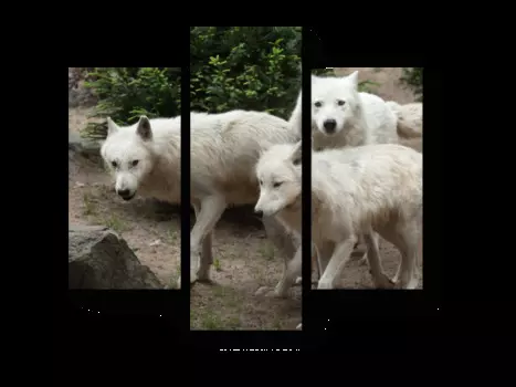 Модульная картина Picsis