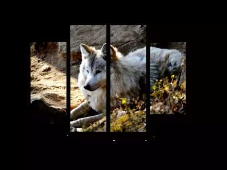 Модульная картина Picsis