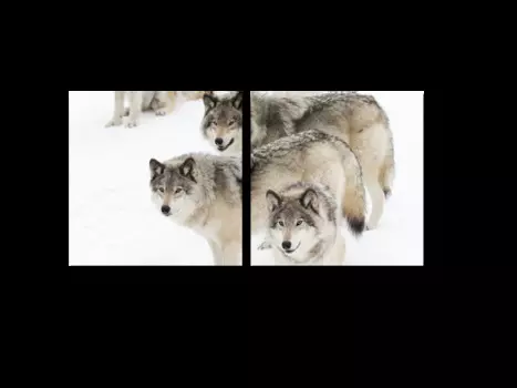 Модульная картина Picsis