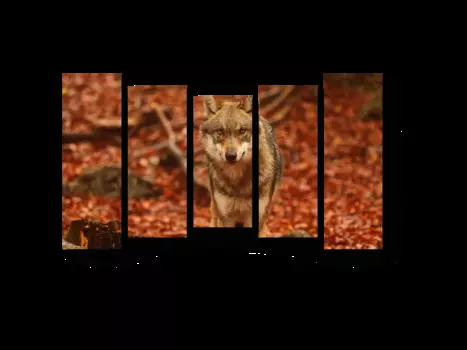 Модульная картина Picsis