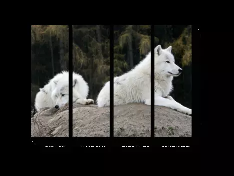 Модульная картина Picsis