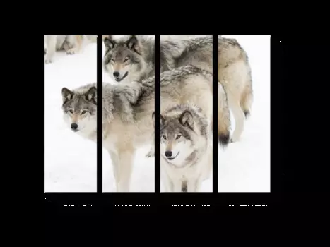 Модульная картина Picsis