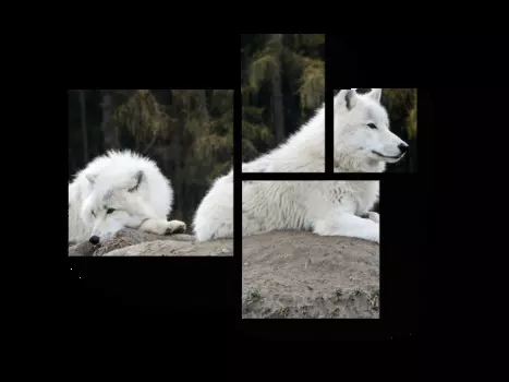 Модульная картина Picsis