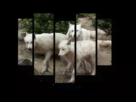 Модульная картина Picsis