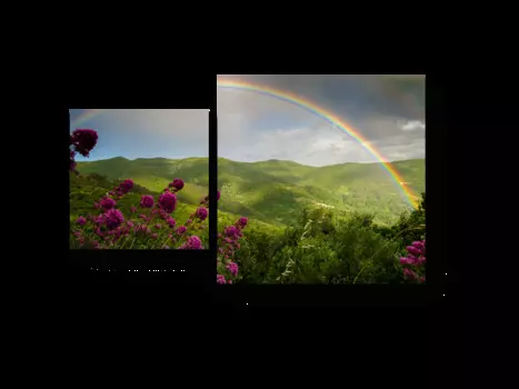 Модульная картина Picsis