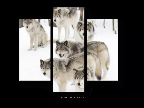 Модульная картина Picsis