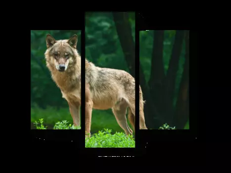 Модульная картина Picsis